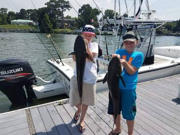 Virginia Beach Report Photo 1