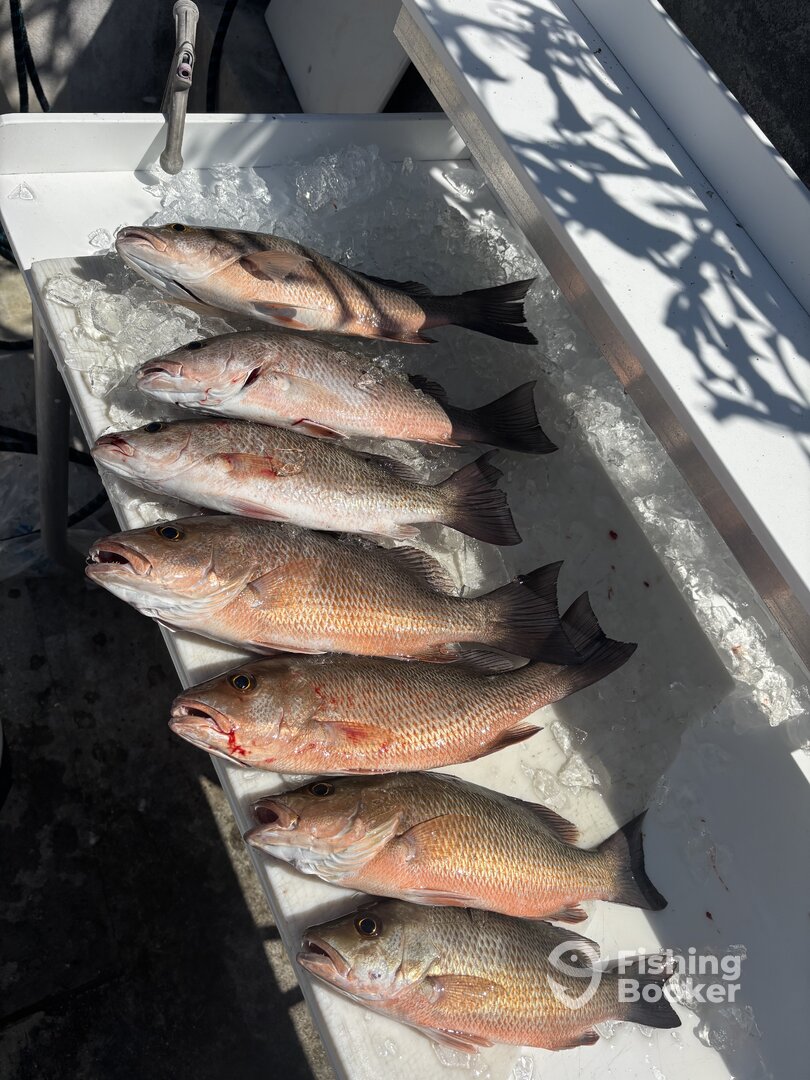 Key West Report Photo 0