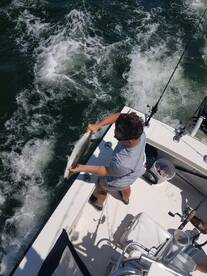 Virginia Beach Report Photo 2