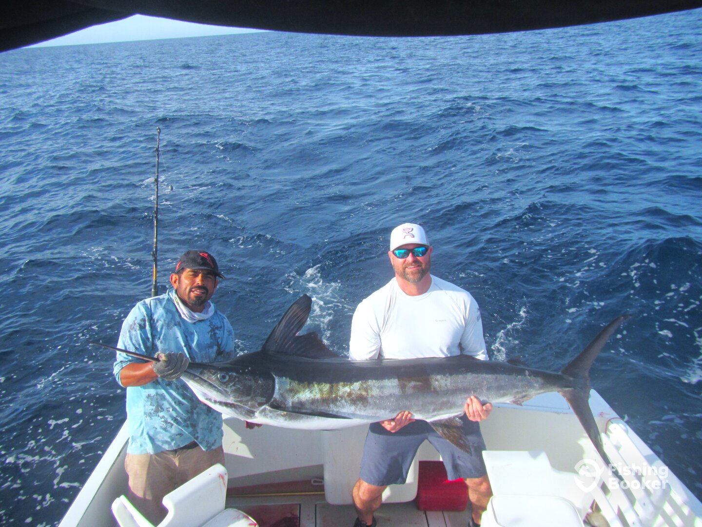 Cabo San Lucas Report Photo 0