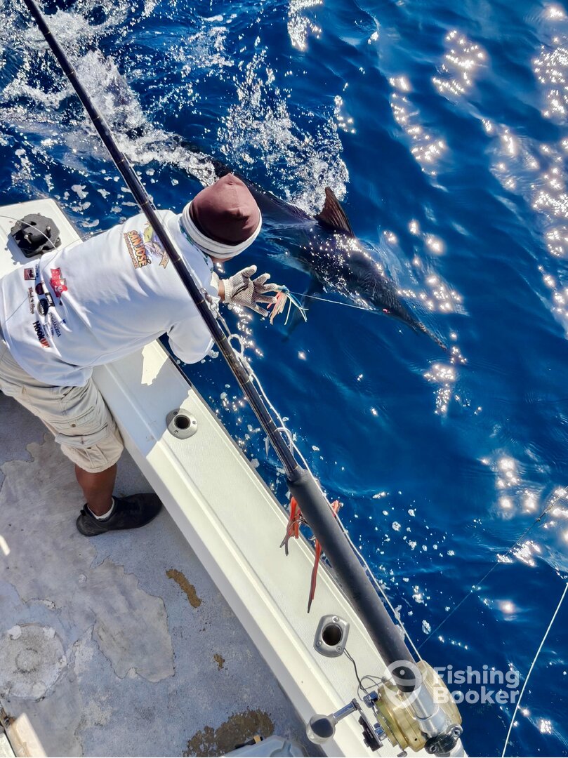 San Jose del Cabo Report Photo 0