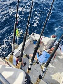 San Jose del Cabo Report Photo 1