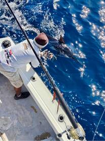 DALIKEN SPORTFISHING BOOK NOW!