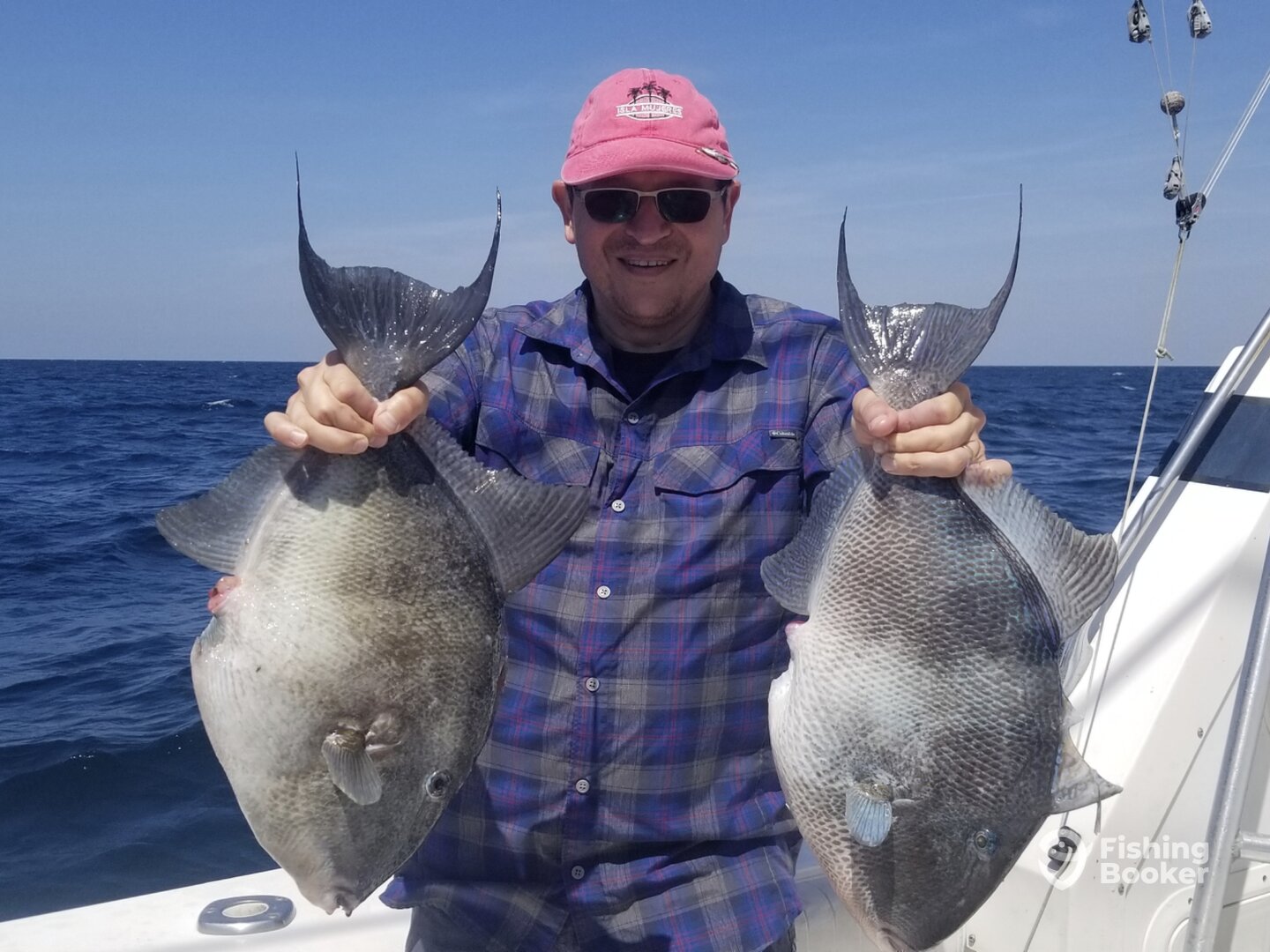 Orange Beach Report Photo 0