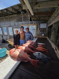 Red Snapper ( offshore trip ) success!! 