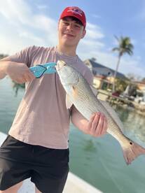 Treasure Island Report Photo 1