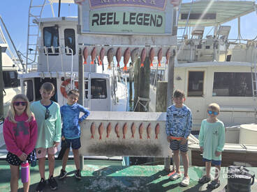 Awesome 4 hour kids trip