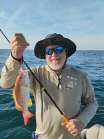 Looking for the big tug