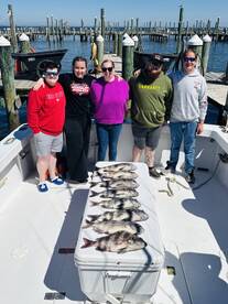 Sheepshead Frenzy 