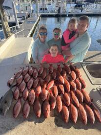 Spring Break Action!