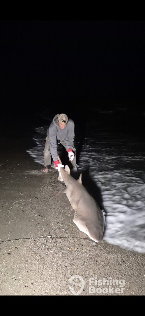 West Palm Beach Report Photo 0