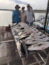 Gettin our limit on a daily basis!