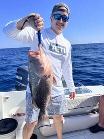 Miami Report Photo 2