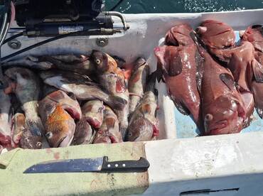 Playa Hermosa Report Photo 1