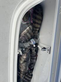 Hilton Head Island Report Photo 1