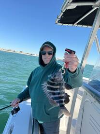 Sheep head and black drum!