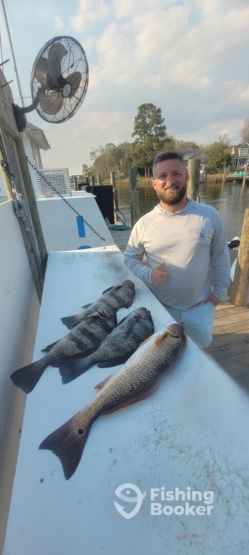 Niceville Report Photo 0