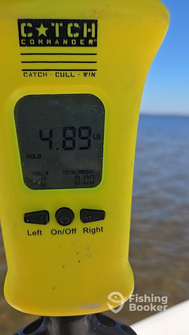 Panama City Report Photo 0