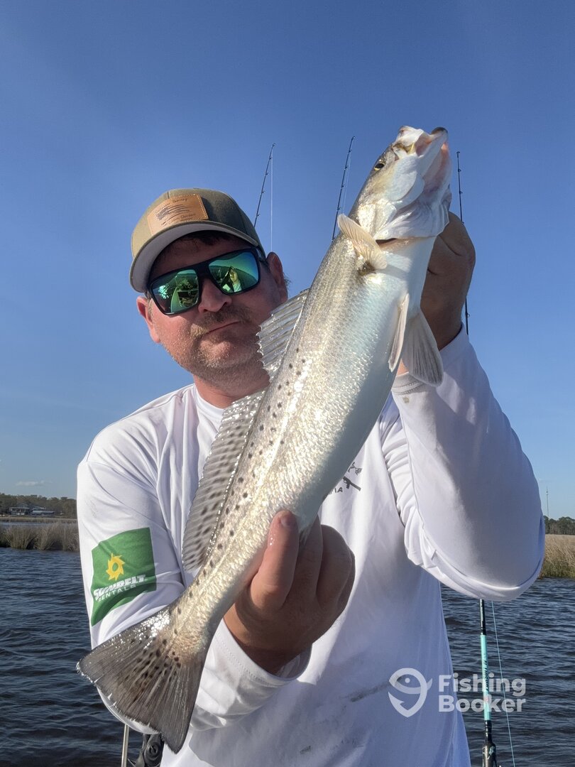 Ocean Springs Report Photo 0