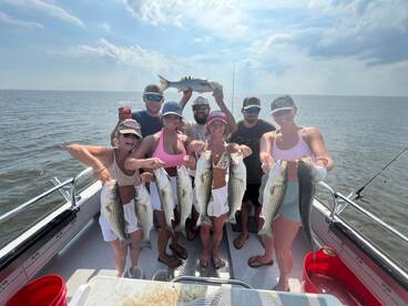 Rock Hall Report Photo 2