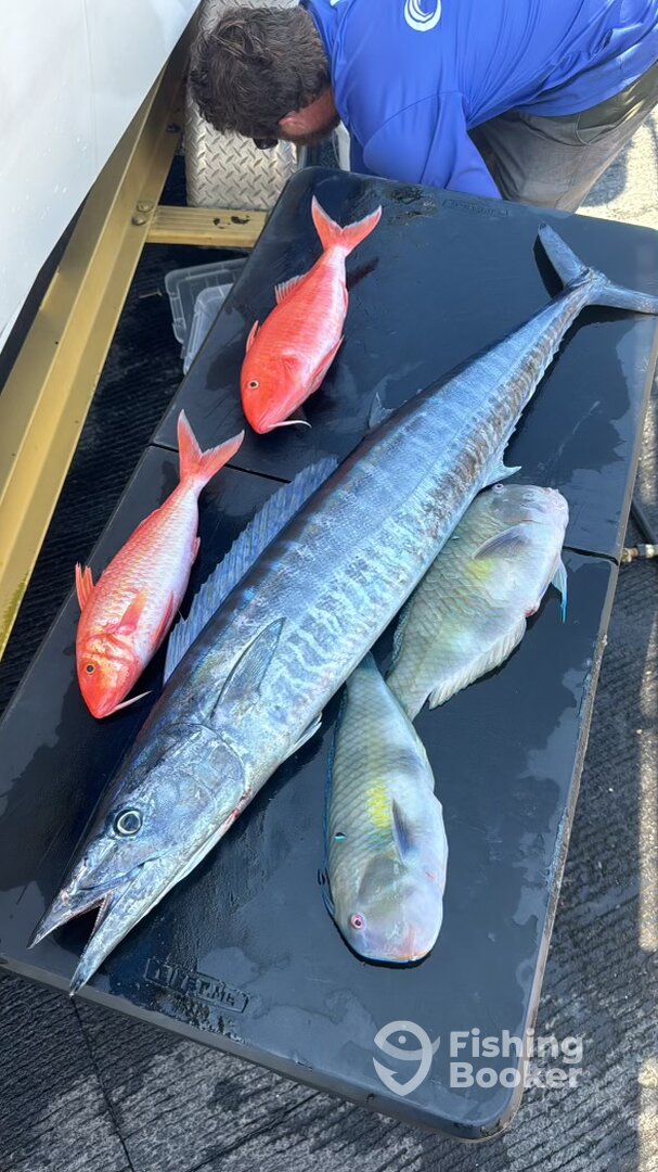 Kailua-Kona Report Photo 0