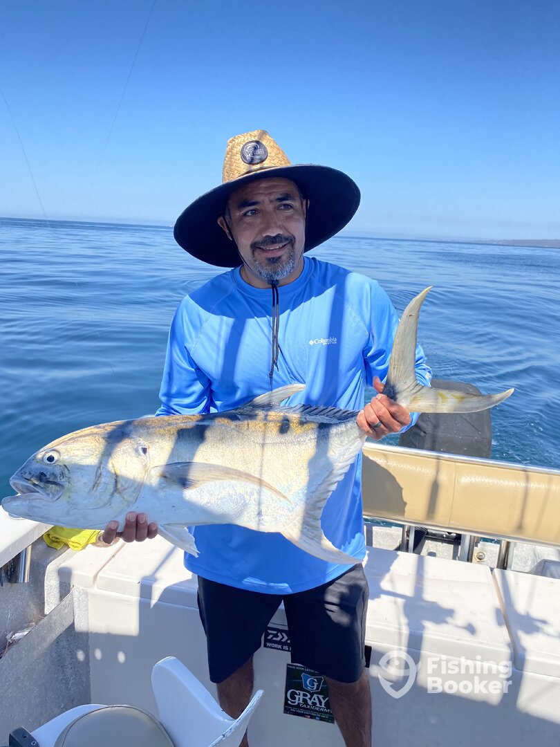 Puerto Vallarta Report Photo 0