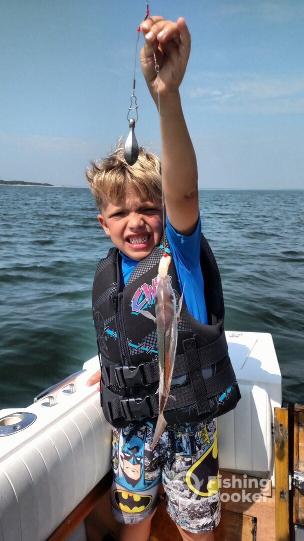 Southold Report Photo 0