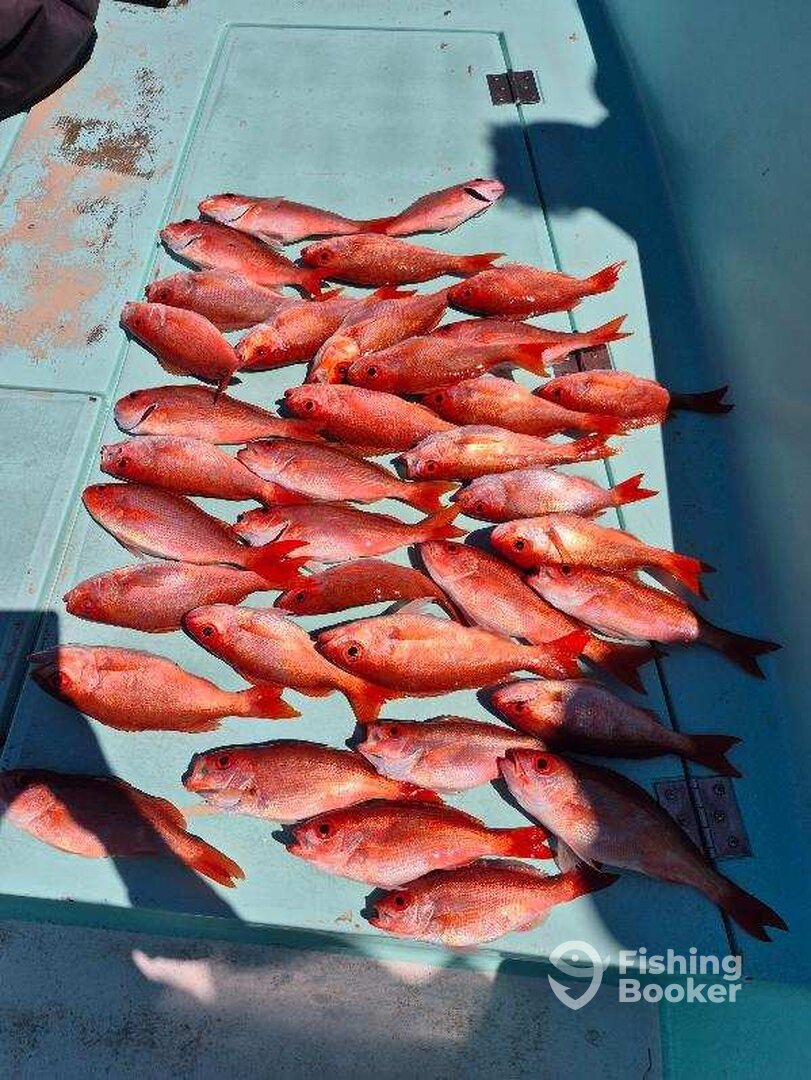 Destin Report Photo 0