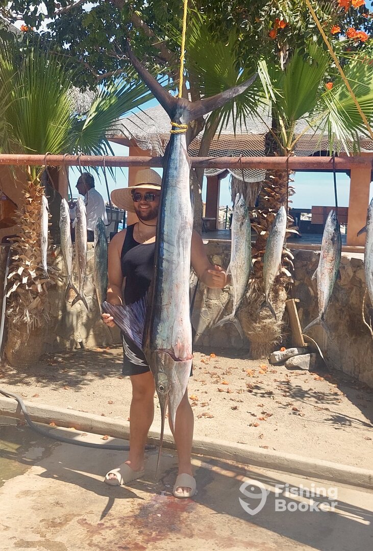 San Jose del Cabo Report Photo 0