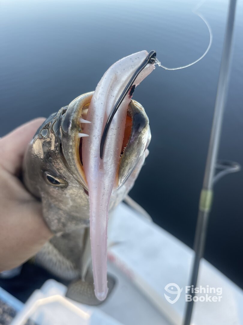 River Road Report Photo 0