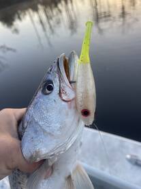 River Road Report Photo 1