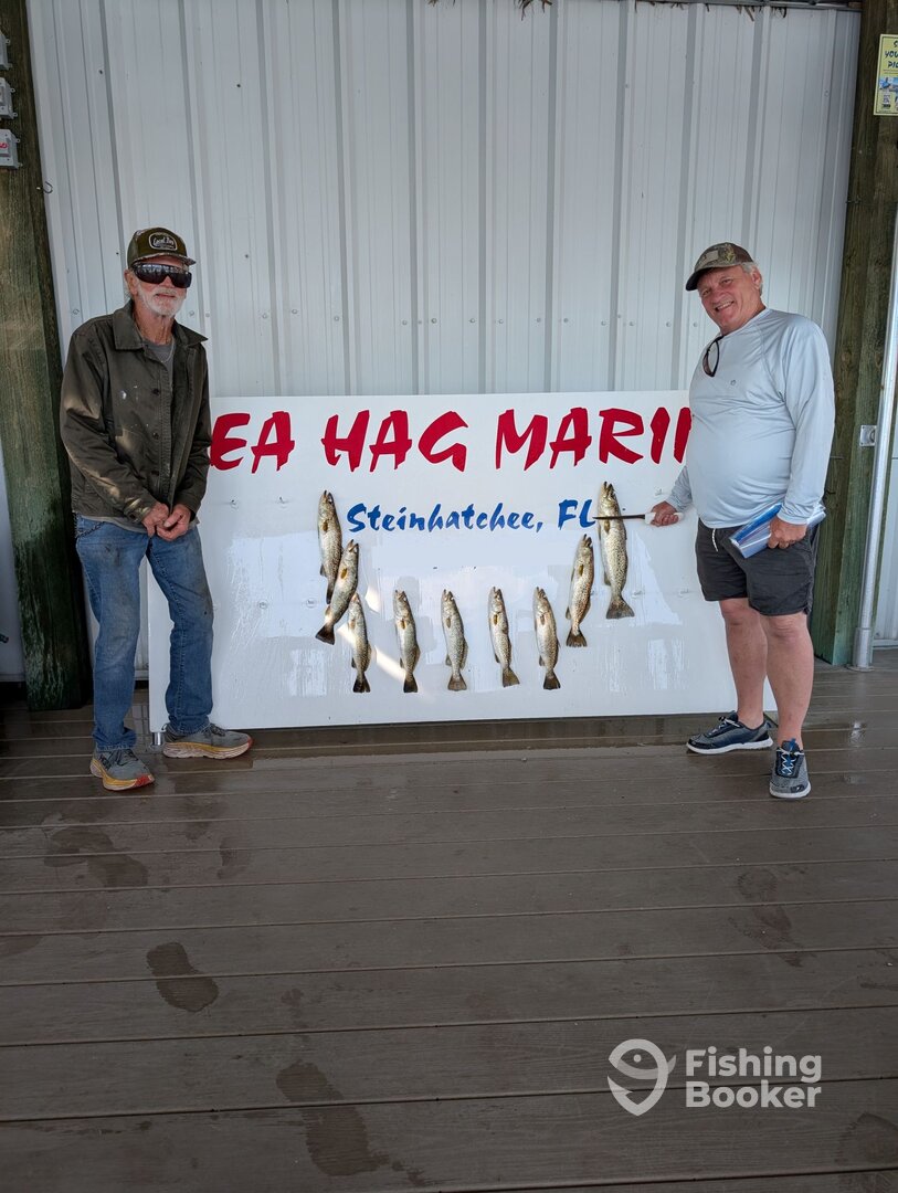 Steinhatchee Report Photo 0