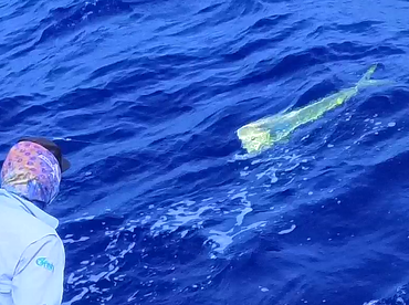 Sydney Report Photo 1