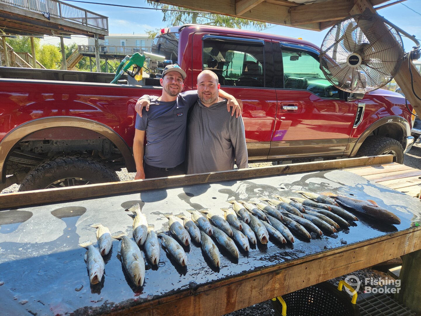 St. Bernard Report Photo 0