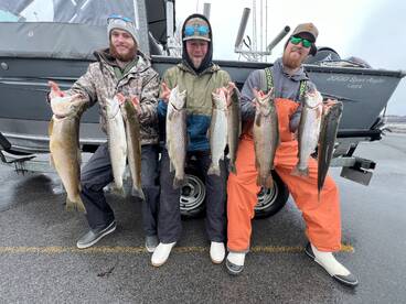 Browns browns and more browns!!!  