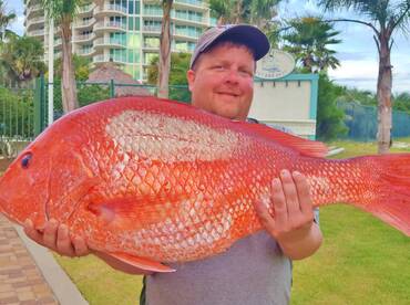 Huge Snapper