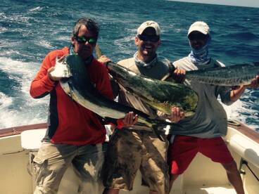 No Birds Big Mahi Scatter Weeds