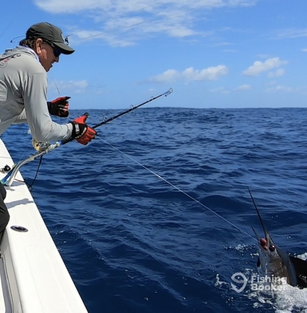 San Juan Report Photo 0