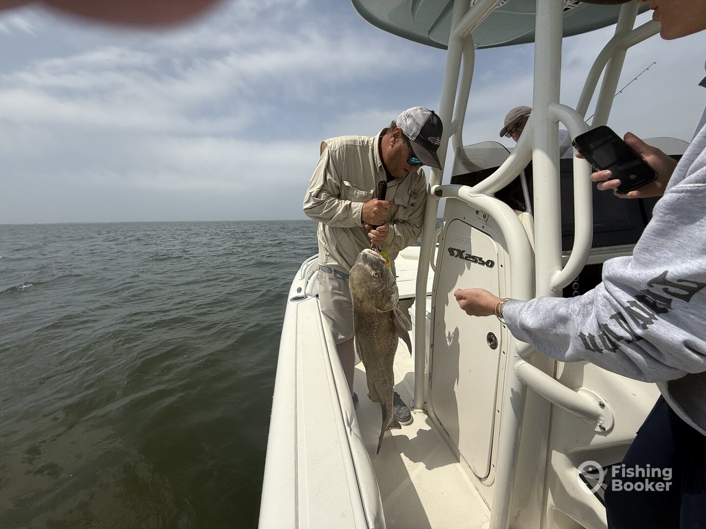 Dauphin Island Report Photo 0