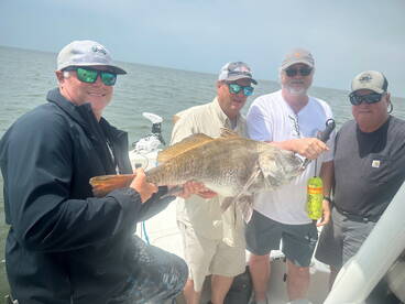 Dauphin Island Report Photo 2