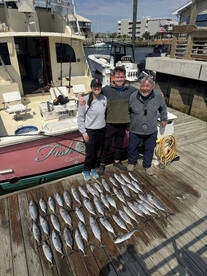 Carolina Beach Report Photo 2