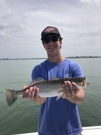 Dunedin Report Photo 2