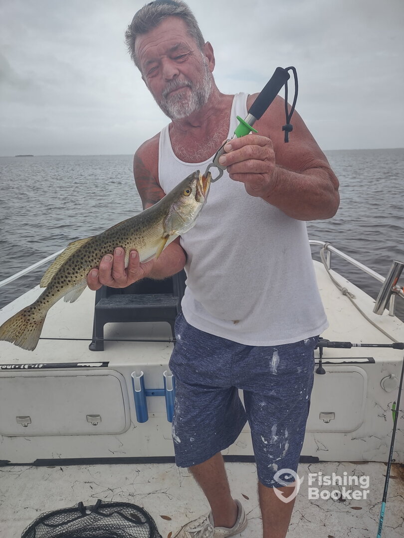 Port St. Joe Report Photo 0