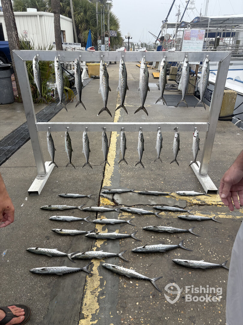 Panama City Beach Report Photo 0