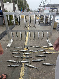 Great 3hour Spanish Mackerel/Eco Tour