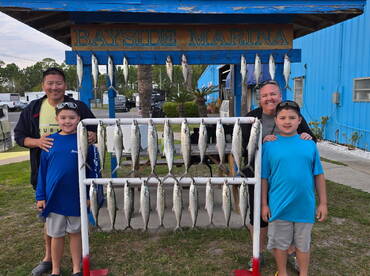 Spanish Mackerel doing great