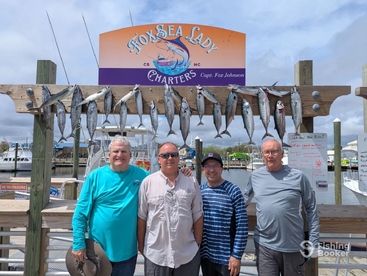 For a short time only- Atlantic Bonito