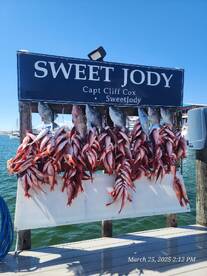 Spring Time Fishing is Incredible