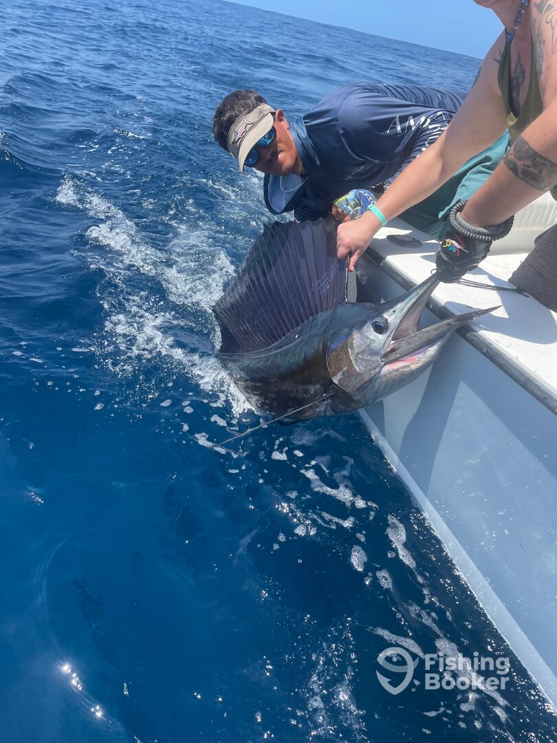 Playa Flamingo Report Photo 0