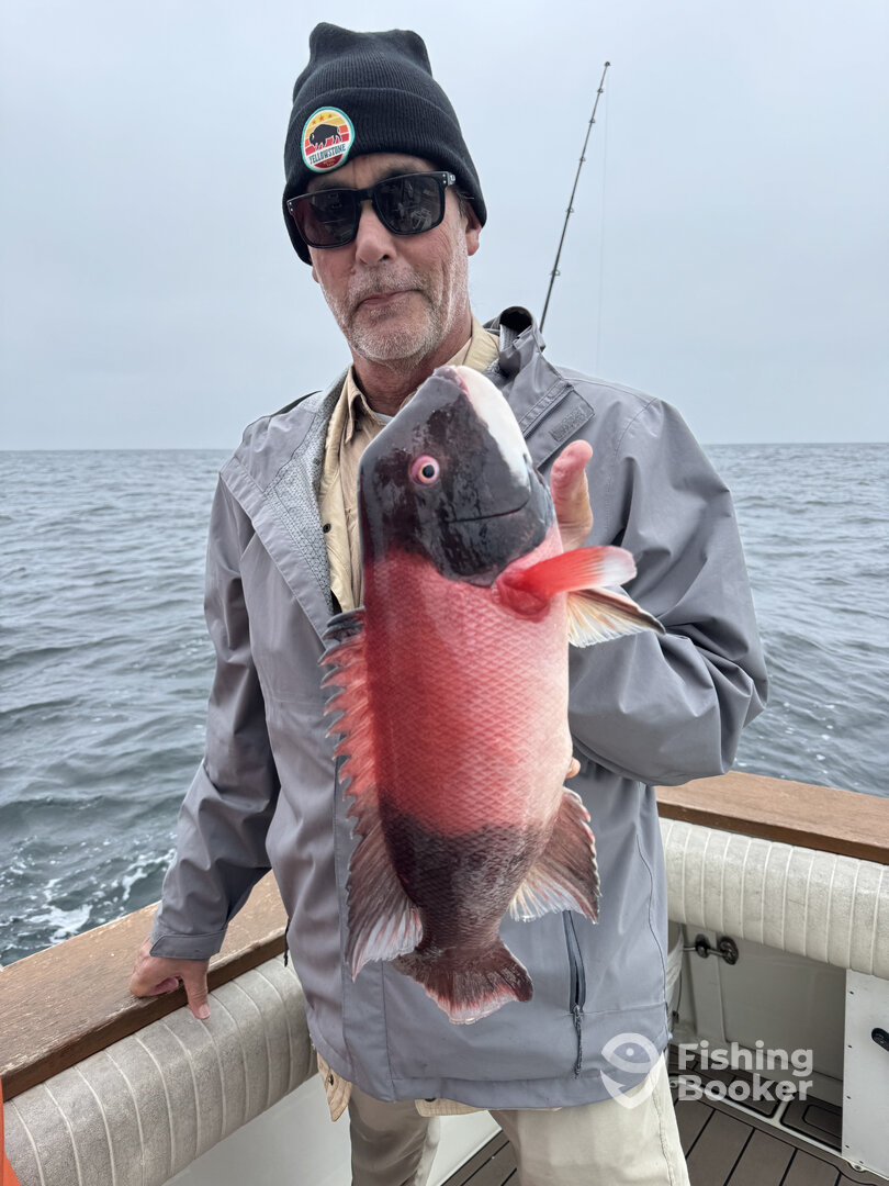 Los Angeles Report Photo 0